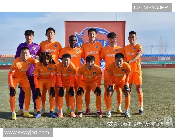 武汉足球队崛起之路:城市联赛中的奋斗与荣耀