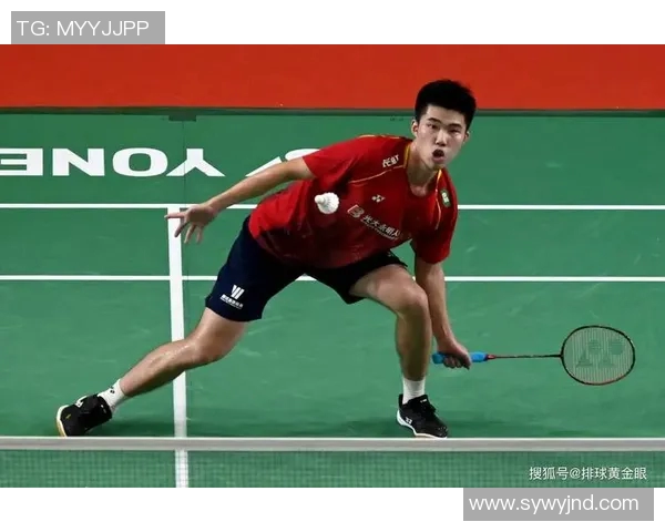 羽毛球灵活性榜单揭晓杭州羽毛球队荣获第九名佳绩