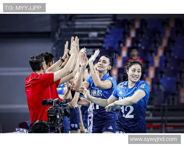 赛后分析:广州排球队与深圳排球队心理素质对比及影响因素探讨