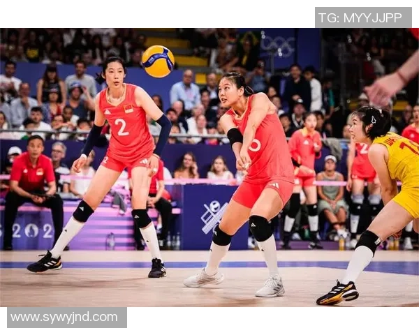 杭州排球队荣登全国排球战术排行榜第五名引发热议