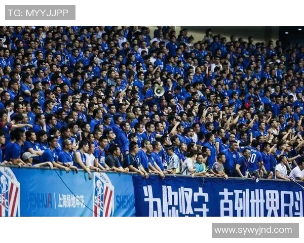 赛后分析：上海网球队与北京网球队的耐力较量与战术对决