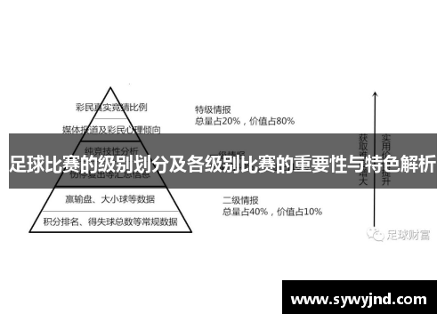 足球比赛的级别划分及各级别比赛的重要性与特色解析